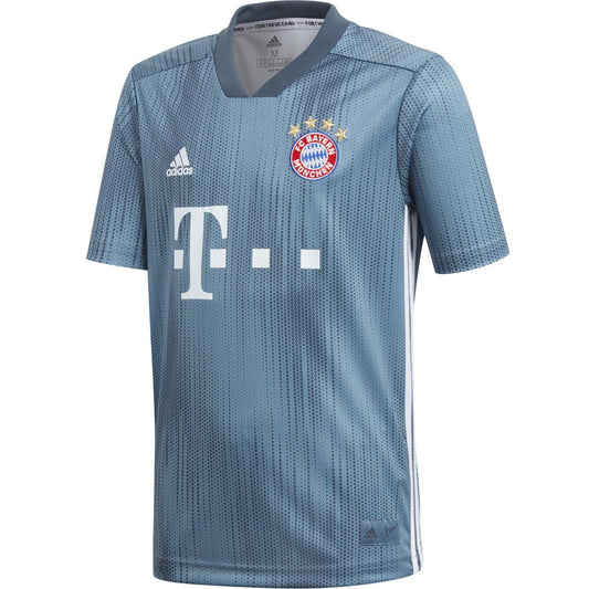 FC Bayern München 2018/2019 Trikot Third grau